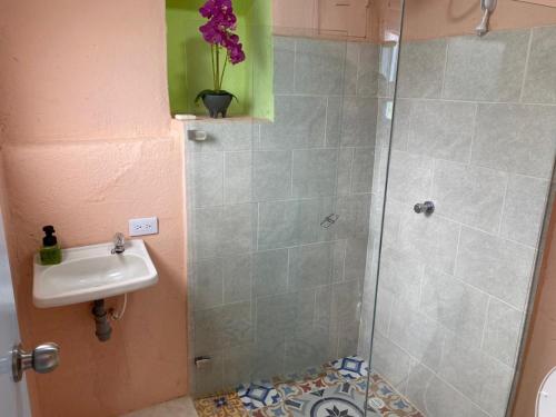 ein Bad mit einer Dusche und einem Waschbecken in der Unterkunft Casa Aurora Tibasosa Boyaca in Tibasosa