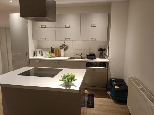 a kitchen with a white counter top with a plant on it at L8 Street - Gneisenaustraße 9 in Pforzheim