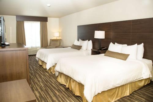 a hotel room with two beds and a flat screen tv at Best Western Plus Dartmouth Hotel & Suites in Halifax