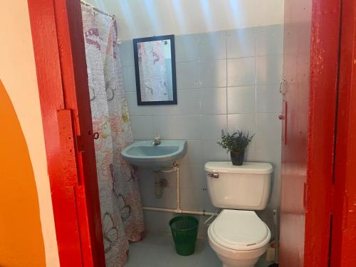 a small bathroom with a toilet and a sink at Habitación Amapola in Girardota