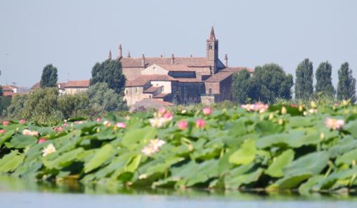 Un paisaje natural cerca of the bed and breakfast