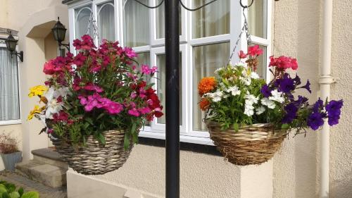 two baskets of flowers hanging from a window at Cornerways Bed & Breakfast in Oxford