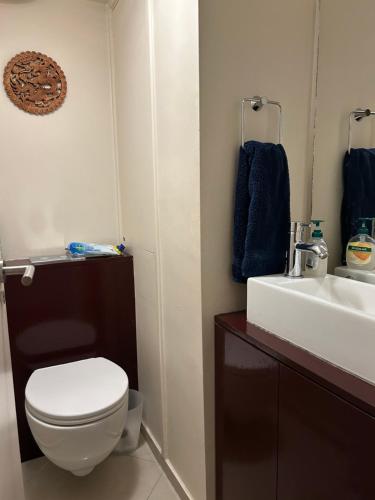 倫敦的住宿－No-taking-reservations，浴室配有白色卫生间和盥洗盆。