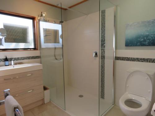 a bathroom with a shower and a toilet and a sink at Rangiputa Moana in Karikari Peninsula