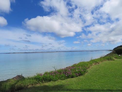 a view of a body of water with grass and flowers at Rangiputa Moana in Karikari Peninsula