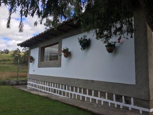 a white house with potted plants on the side of it at Charming house in Zuleta Mariano and Pastora in Zuleta