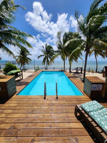 uma piscina ao lado de uma praia com palmeiras em Coco's Beachfront Cabanas em Seine Bight Village