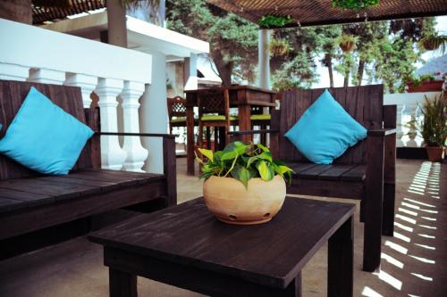 a potted plant sitting on a table on a patio at Lar Antiqua Hotel in Quetzaltenango