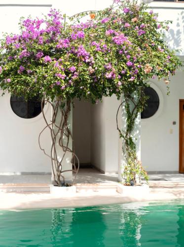 Sonido del mar Hotel Boutique & Yoga Loft photo 3