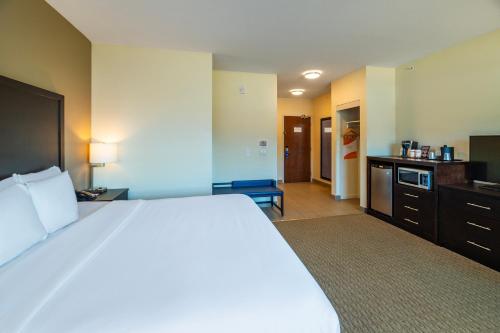 a large bedroom with a large bed and a kitchen at Comfort Inn & Suites in Terrace