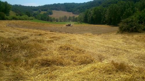 a large field of hay with a tractor in it at Borgodoro - Natural Retreat in Magliano Sabina