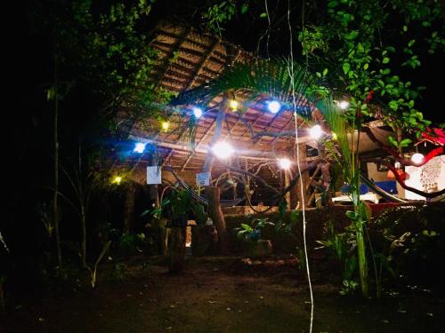 une maison avec des lumières devant elle la nuit dans l'établissement Sigiriya Rastha Hostel, à Sigirîya