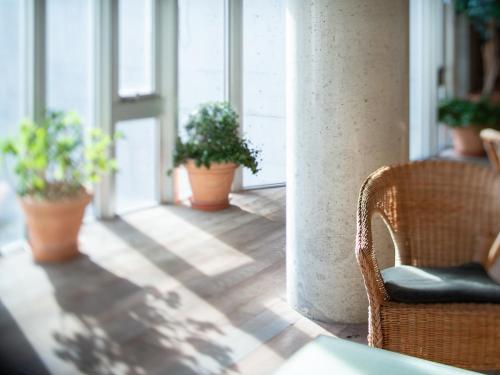 a room with chairs and potted plants on the floor at the Kinta Naeba in Yuzawa