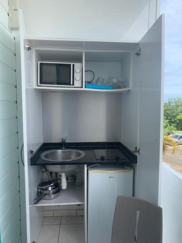 uma pequena cozinha com um lavatório e um micro-ondas em Paisible studio em Les Trois-Îlets