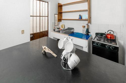 uma cozinha com uma bancada com uma batedeira em Casa Leon Rinconada em Puerto Escondido
