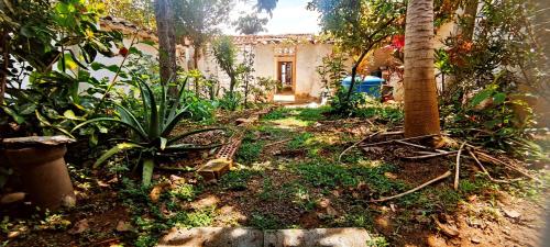 a garden with a tree and a house at Casa Orquidea Hostal Barichara in Barichara