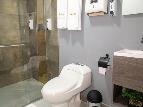 a bathroom with a white toilet and a shower at Hotel velero in Roldanillo