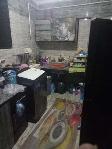 eine Küche mit einer Spüle und einer Arbeitsplatte in der Unterkunft NourEl-lslam rental in Alexandria