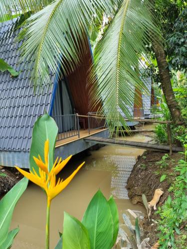 une maison dans la jungle avec un pont sur un étang dans l'établissement Homestay Nam Hàm Luông, à Ben Tre