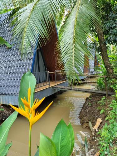 Zahrada ubytování Homestay Nam Hàm Luông
