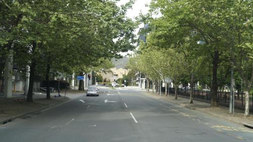 a car is driving down a street with trees at Smart apartment right in Canberra CBD in Canberra