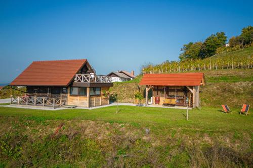 una casa con un tetto arancione su una collina di Vineyard Cottage Grajska Kašča - Happy Rentals a Mirna