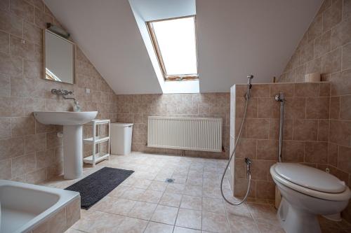 a bathroom with a toilet and a sink and a shower at XLSuite Apartment Superior in Piešťany