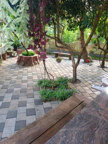 a garden with a bench and a tree in a courtyard at View Valley Homestay in Munnar