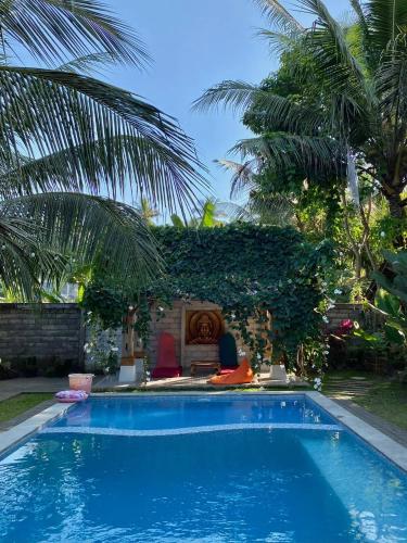 a blue swimming pool with chairs and palm trees at Didu's Homestay Bed & Breakfast in Banyuwangi