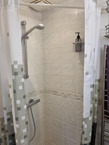 a bathroom with a shower with a glass door at Bed and Breakfast Birkerod in Birkerød