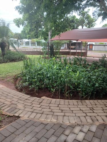 a brick walkway with a tent in a park at Africa Dawn Guesthouse in Musina