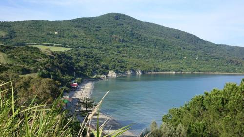 a view of a body of water with a mountain at Panoramic Apartments in Villa in Center "The Beach and The Cliff" 1 in Agropoli