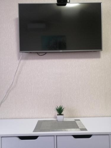 a television on a wall with a potted plant on a table at Revutskogo 54 метро Харьковская, Позняки, Квартира з видом на озеро in Kyiv