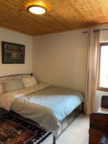 1 dormitorio con cama y techo de madera en Kalyva Cottage en Mirina
