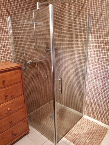 a shower with a glass door in a bathroom at Spatieux, confort, reposant, gd jardin bucolique, jeux, balades, zoo, châteaux in Saint-Romain-sur-Cher