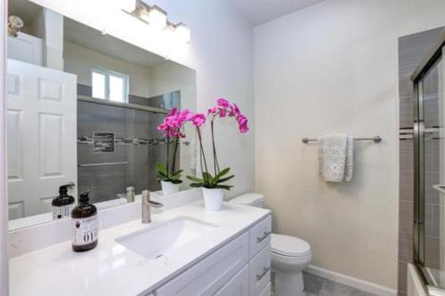 uma casa de banho com um lavatório, um WC e um espelho. em San Jose Shark House - Unit 1 em San José