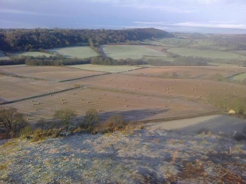 an aerial view of a field with animals in it at Barmoors in Lastingham