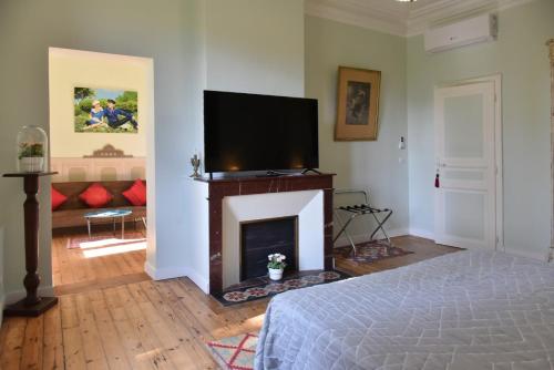 a living room with a fireplace with a flat screen tv at La Chartreuse d'Ertan "Les maîtres" 4 étoiles in Saint-Christophe-des-Bardes