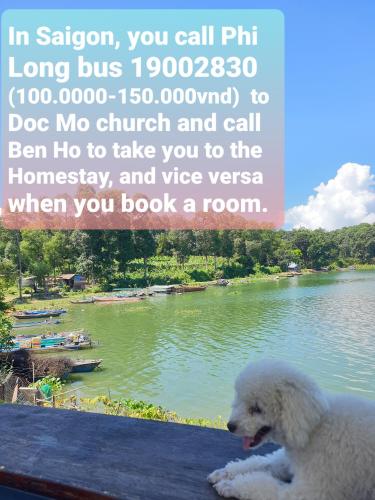a white dog laying on a ledge next to a river at Bến Hồ Homestay in Xã Gia Tân