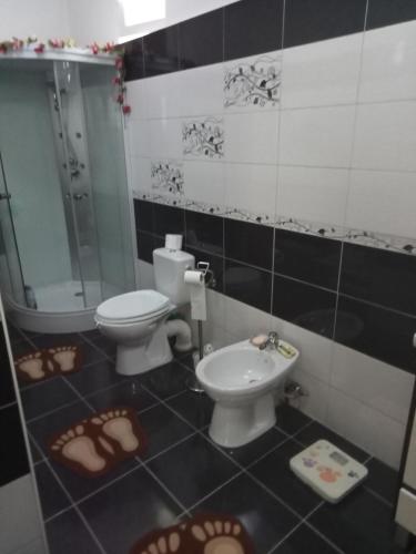 een badkamer met 2 toiletten, een douche en een wastafel bij Casa Aura.!! in Ocna-Mureşului