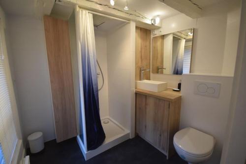 une salle de bain avec une douche, des toilettes et un lavabo dans l'établissement Le Studio du Quai des Pêcheurs - Charmant duplex sur les quais, à Strasbourg