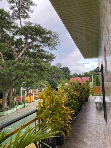 a balcony with a bunch of plants and trees at Spacious Studio Apartment 3 with Pool in Alburquerque