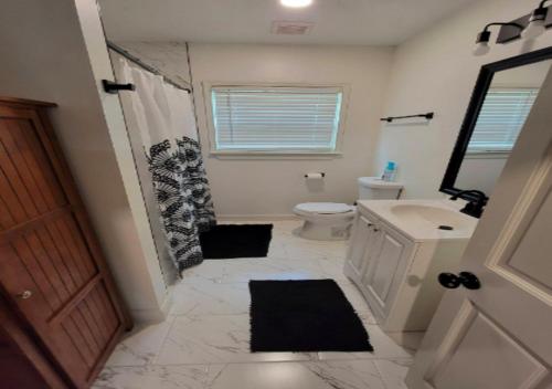 紐約的住宿－Cozy One Bedroom Apartment At UWS，一间带水槽、卫生间和镜子的浴室