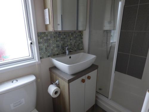 a bathroom with a sink and a toilet and a shower at Meadows 49 at Southview Leisure Park in Skegness