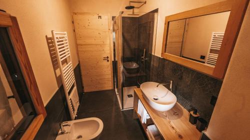 a bathroom with a sink and a toilet and a mirror at B&B Maso Ghirola in Pinzolo