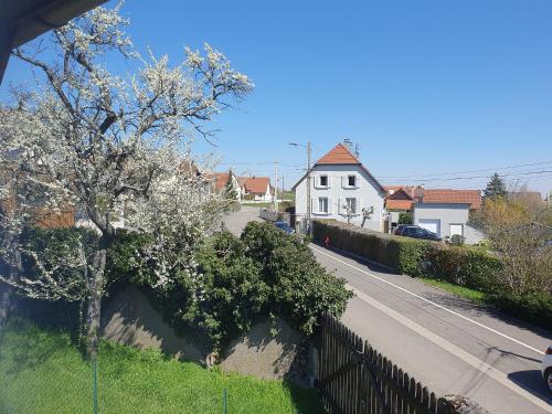 Gambar di galeri bagi Gite 4 pers. - 2 chambres entre Colmar/Mulhouse di Wattwiller