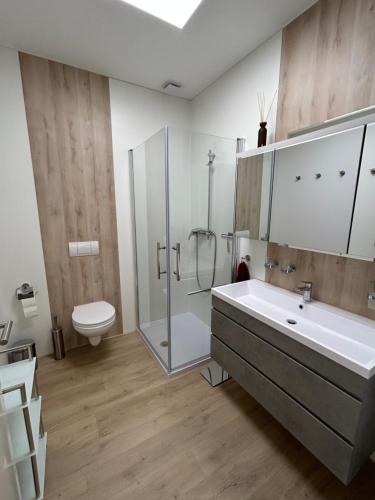 a bathroom with a sink and a shower and a toilet at wobStay family & fitters in Worbis