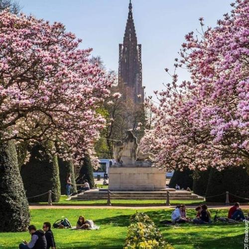L'Entracte Strasbourgeoise - Charmant studio au cœur de la Petite France