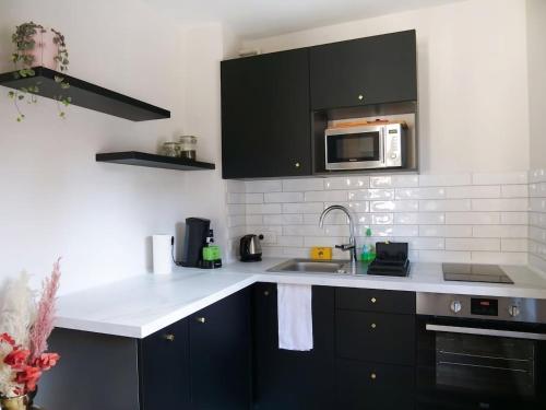 une cuisine avec un évier et un micro-ondes dans l'établissement Le Cocon Urbain - Joli Studio récemment rénové, à Strasbourg