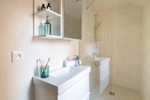 une salle de bain blanche avec un lavabo et une douche dans l'établissement Splendide T3 proche Petite France Dragon, à Strasbourg